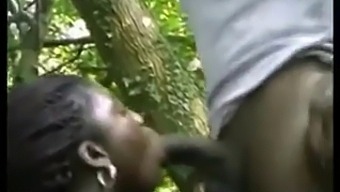 Black Ebony Bombshell Takes On Big Black Cock