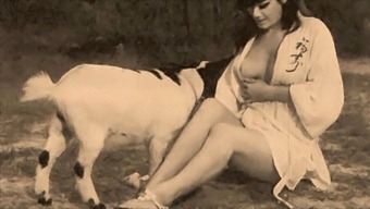 Classic Americana: Taboo, Pussy, And Pooches In A Vintage Setting