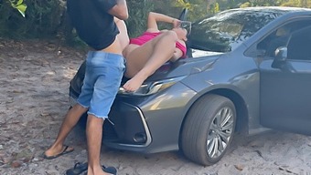 Doggystyle Sex And Public Oral Pleasure In A Restaurant